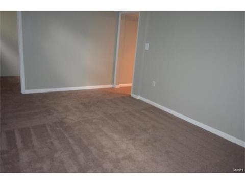 45 Evergreen Ct, Ballwin, MO 63021 photo 19