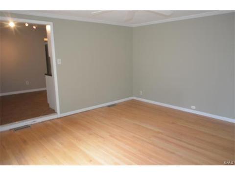 45 Evergreen Ct, Ballwin, MO 63021 photo 13
