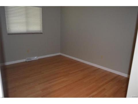 45 Evergreen Ct, Ballwin, MO 63021 photo 15