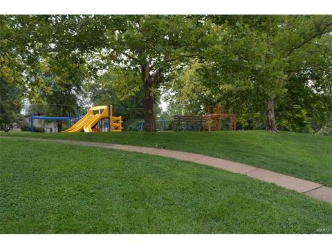 45 Evergreen Ct, Ballwin, MO 63021 photo 24