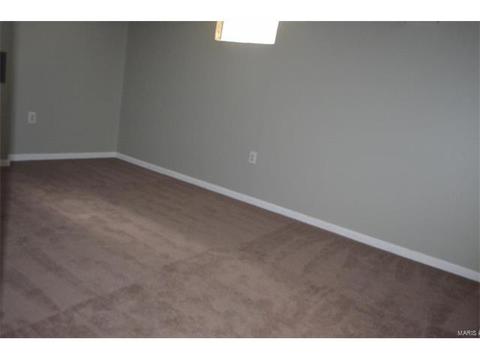 45 Evergreen Ct, Ballwin, MO 63021 photo 18