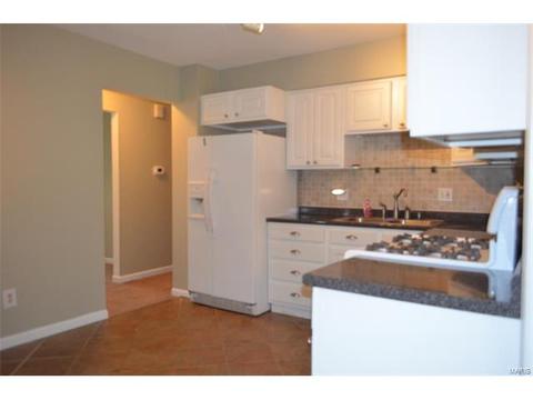 45 Evergreen Ct, Ballwin, MO 63021 photo 6
