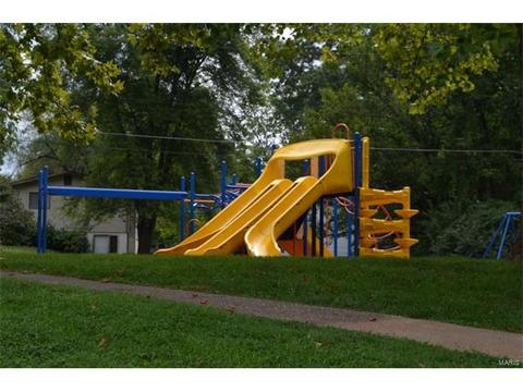 45 Evergreen Ct, Ballwin, MO 63021 photo 23