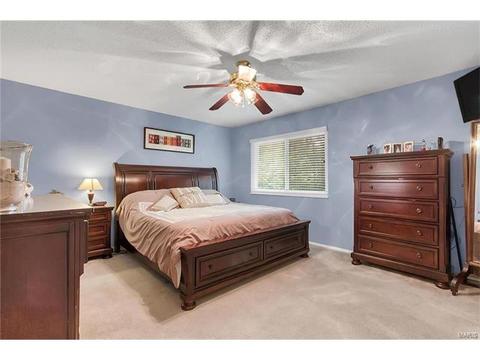 1504 Sunnytree Ln, Ballwin, MO 63021 photo 11