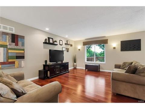 1504 Sunnytree Ln, Ballwin, MO 63021 photo 10