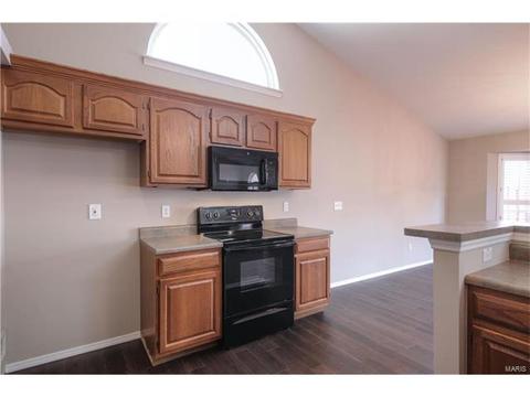 1 Royallmeadow Ct, O'fallon, MO 63368 photo 12