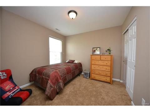 235 Spring Borough Dr, O'fallon, MO 63368 photo 19