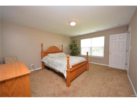 235 Spring Borough Dr, O'fallon, MO 63368 photo 18