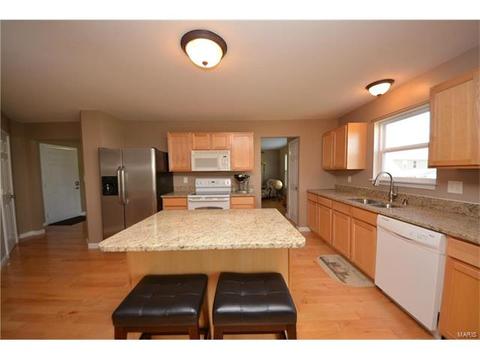 235 Spring Borough Dr, O'fallon, MO 63368 photo 7