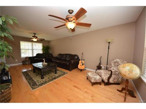 235 Spring Borough Dr, O'fallon, MO 63368 photo 4
