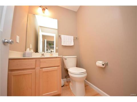 235 Spring Borough Dr, O'fallon, MO 63368 photo 13