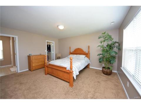 235 Spring Borough Dr, O'fallon, MO 63368 photo 16