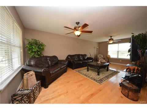235 Spring Borough Dr, O'fallon, MO 63368 photo 3