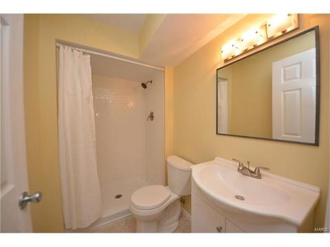 235 Spring Borough Dr, O'fallon, MO 63368 photo 25