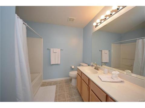 235 Spring Borough Dr, O'fallon, MO 63368 photo 21