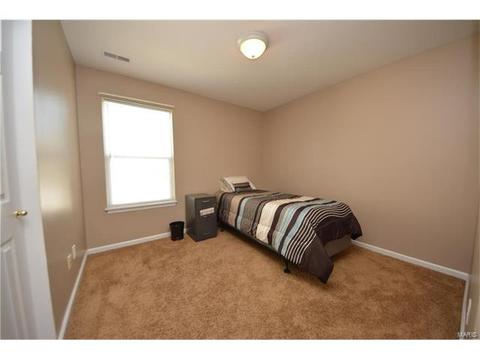 235 Spring Borough Dr, O'fallon, MO 63368 photo 20