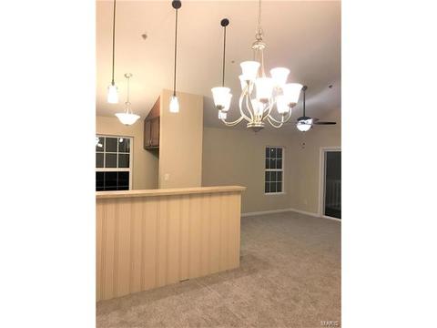 9300 Spring Creek Ln, O'fallon, MO 63368 photo 6