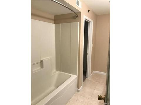 9300 Spring Creek Ln, O'fallon, MO 63368 photo 12
