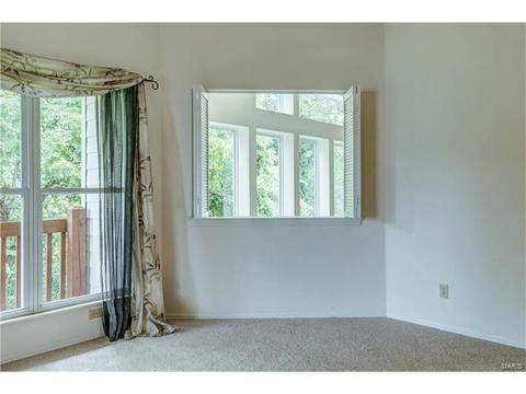 927 Timber Glen Ln, Ballwin, MO 63021 photo 24