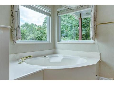 927 Timber Glen Ln, Ballwin, MO 63021 photo 30