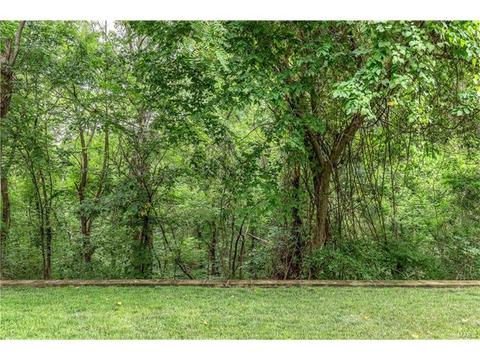 927 Timber Glen Ln, Ballwin, MO 63021 photo 55