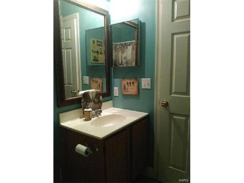 16118 Castlerea, Ellisville, MO 63021 photo 16