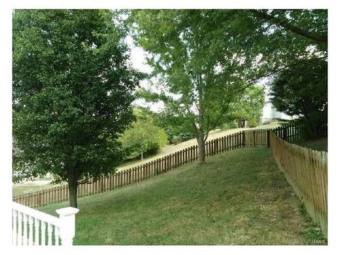 16118 Castlerea, Ellisville, MO 63021 photo 2