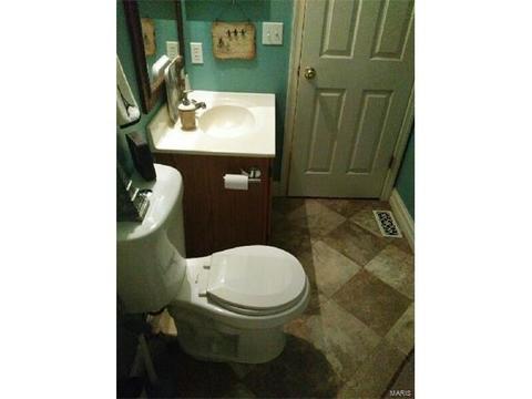 16118 Castlerea, Ellisville, MO 63021 photo 15