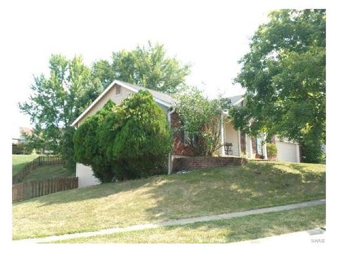 16118 Castlerea, Ellisville, MO 63021 photo 4