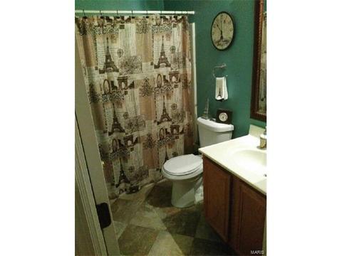 16118 Castlerea, Ellisville, MO 63021 photo 14