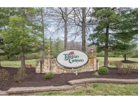 16118 Castlerea, Ellisville, MO 63021 photo 5
