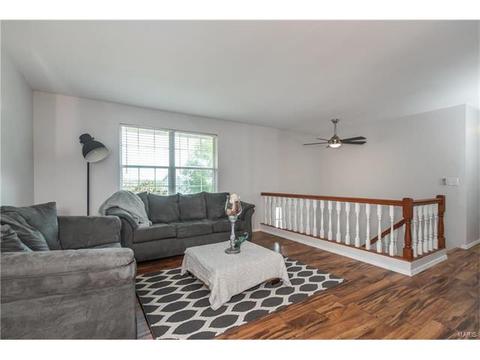 428 Tailor Ln, O'fallon, MO 63368 photo 5