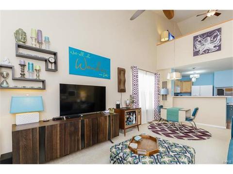 251 Tyndale Dr, O'fallon, MO 63366 photo 7