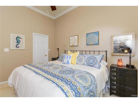 251 Tyndale Dr, O'fallon, MO 63366 photo 13