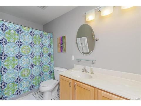 251 Tyndale Dr, O'fallon, MO 63366 photo 23