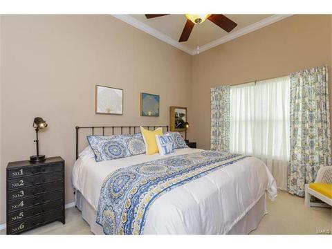 251 Tyndale Dr, O'fallon, MO 63366 photo 12