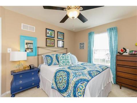 251 Tyndale Dr, O'fallon, MO 63366 photo 22