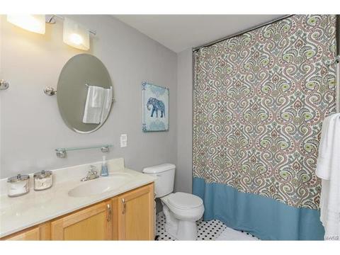 251 Tyndale Dr, O'fallon, MO 63366 photo 14