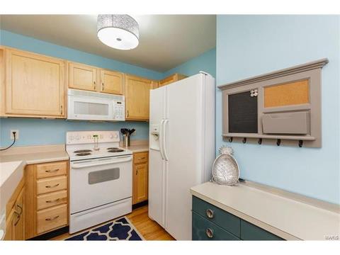 251 Tyndale Dr, O'fallon, MO 63366 photo 9