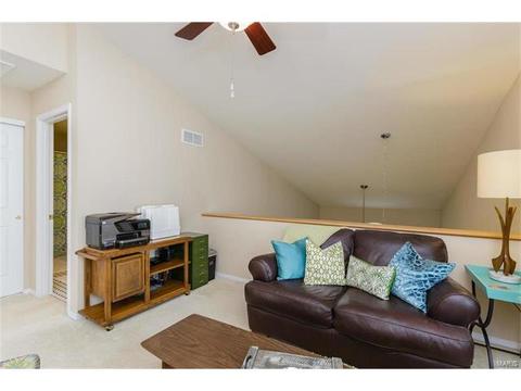 251 Tyndale Dr, O'fallon, MO 63366 photo 20