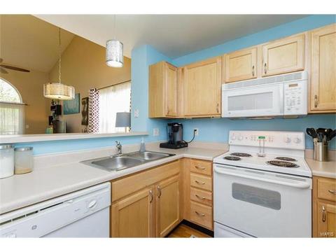 251 Tyndale Dr, O'fallon, MO 63366 photo 10