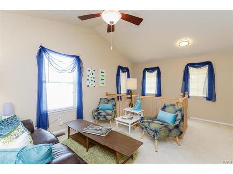 251 Tyndale Dr, O'fallon, MO 63366 photo 18