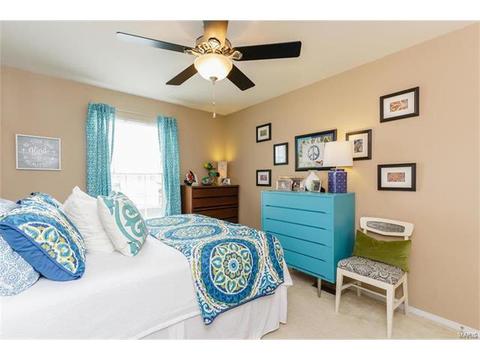 251 Tyndale Dr, O'fallon, MO 63366 photo 21