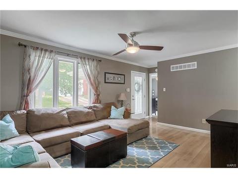 197 Tortuna, Ballwin, MO 63021 photo 9