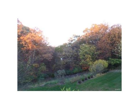 1173 Richland Mdws, Ballwin, MO 63021 photo 26