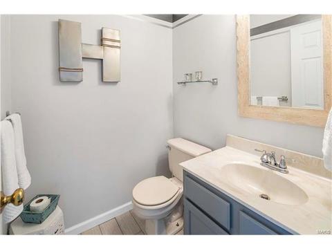 1173 Richland Mdws, Ballwin, MO 63021 photo 31