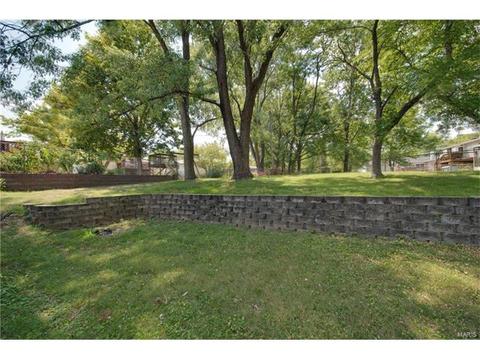 895 Napoli, Ballwin, MO 63021 photo 26