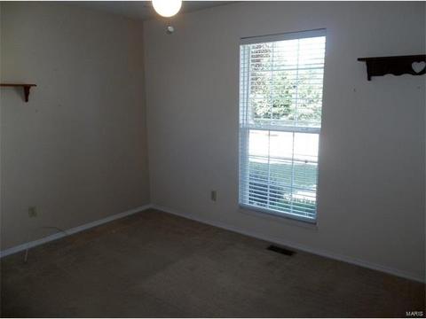 1390 Apple Vly, O'fallon, MO 63366 photo 17