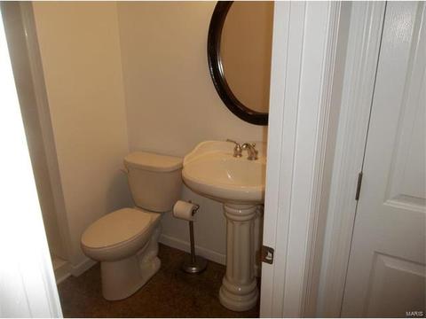 1390 Apple Vly, O'fallon, MO 63366 photo 33