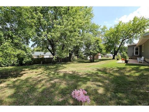 213 Cordes St, O'fallon, MO 63366 photo 19